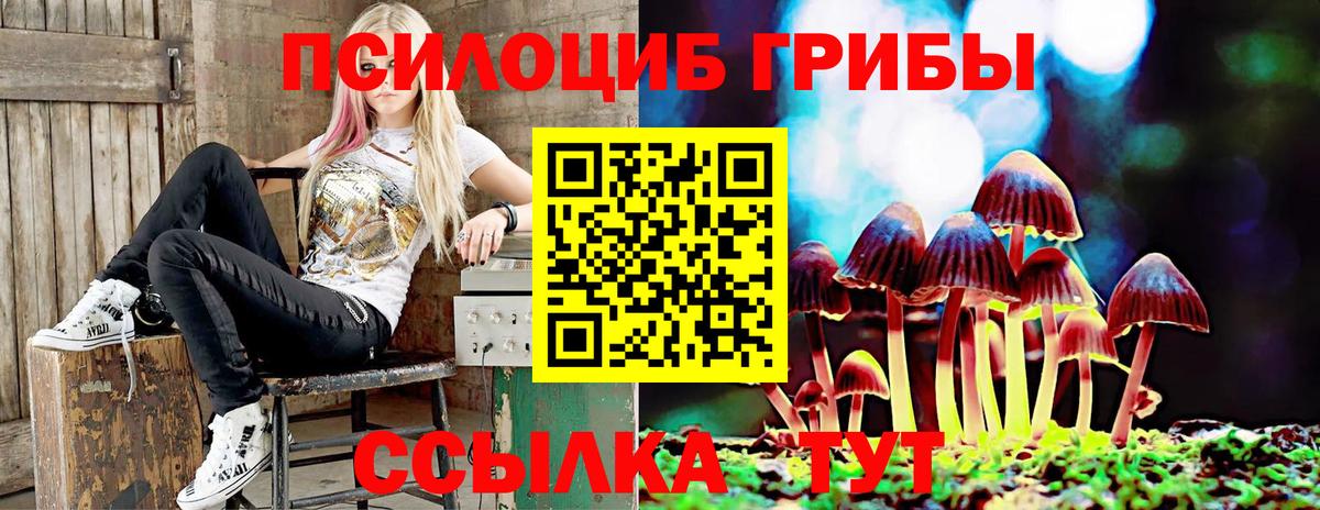 Псилоцибиновые грибы Psilocybine cubensis  Вход с VPN  Мыски  Галлюциногенные грибы мицелий 